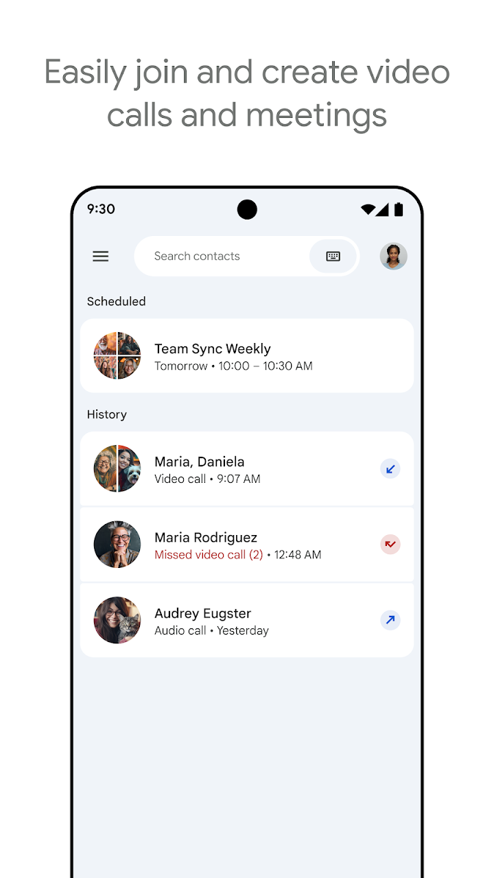 Google Meet screenshot