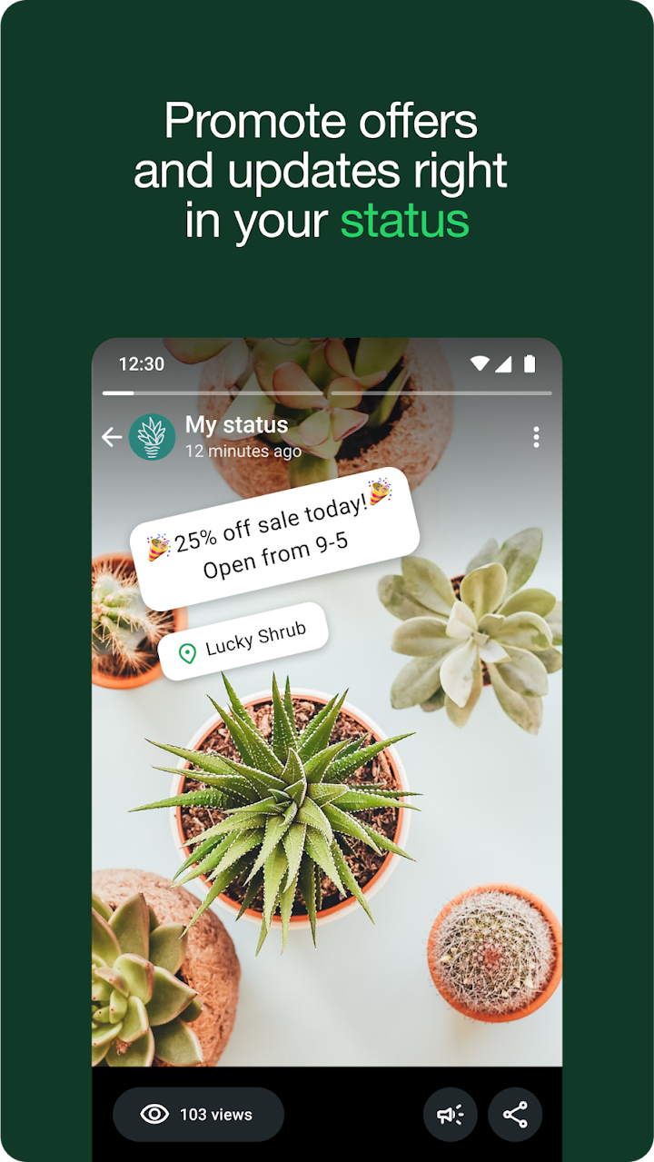 WhatsApp Business screenshot